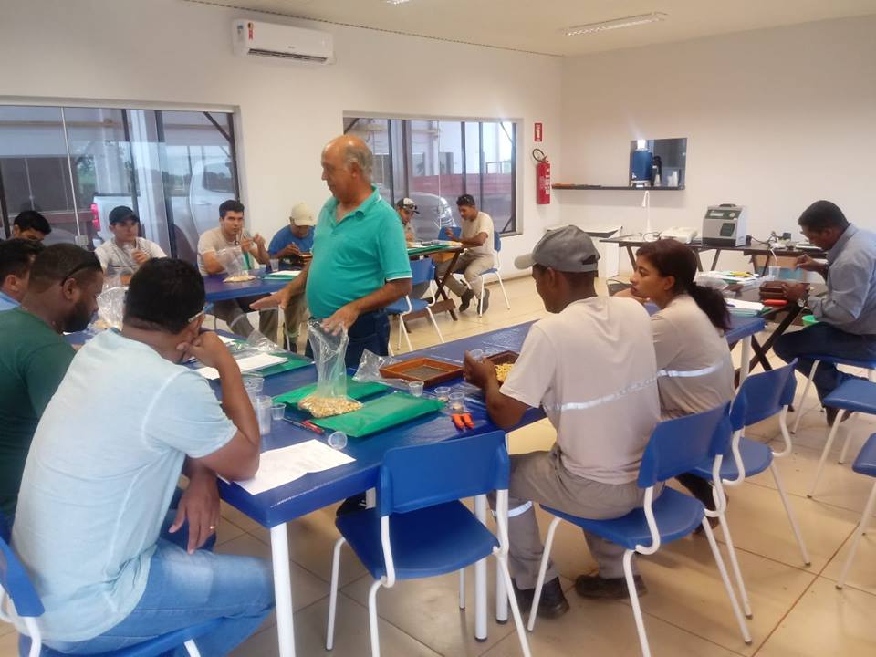 Curso Análise, Classificação e Armazenagem de Grãos