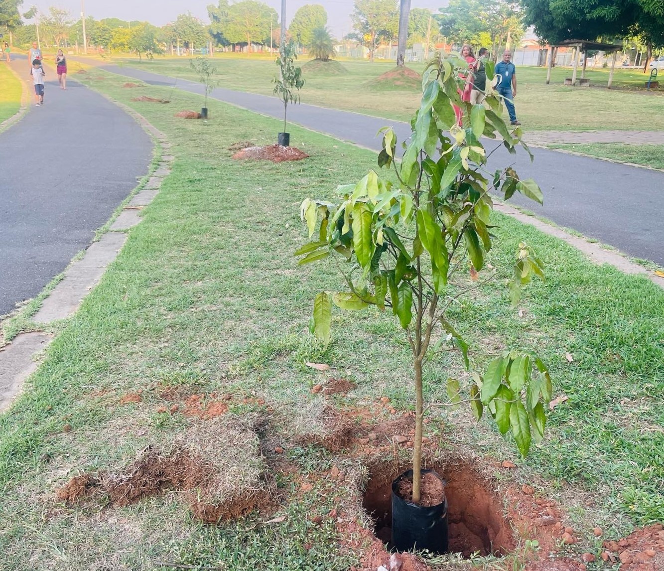 Com apoio do Sistema OCB/TO e parceiros, Coopermoto realiza plantio de árvores no Parque Cimba, em Araguaína