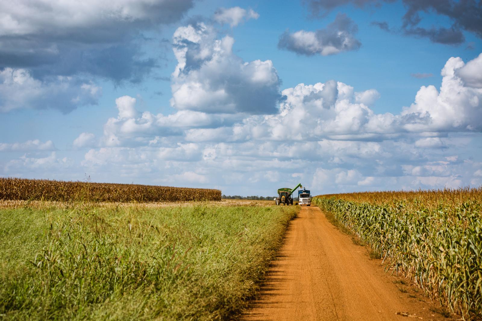 Confiança do Agronegócio encerra 1º trimestre otimista